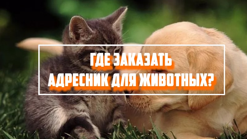 Где заказать адресник для животных?